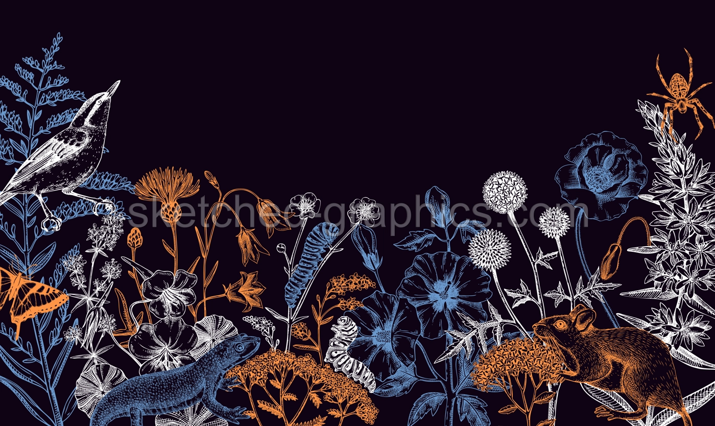 Summer design  in sketched style. Botanical drawings of wildflowers, herbs, meadows, berries, animals and birds. Vintage wildlife hand-drawn illustrations. Field plants background in color Illustration
